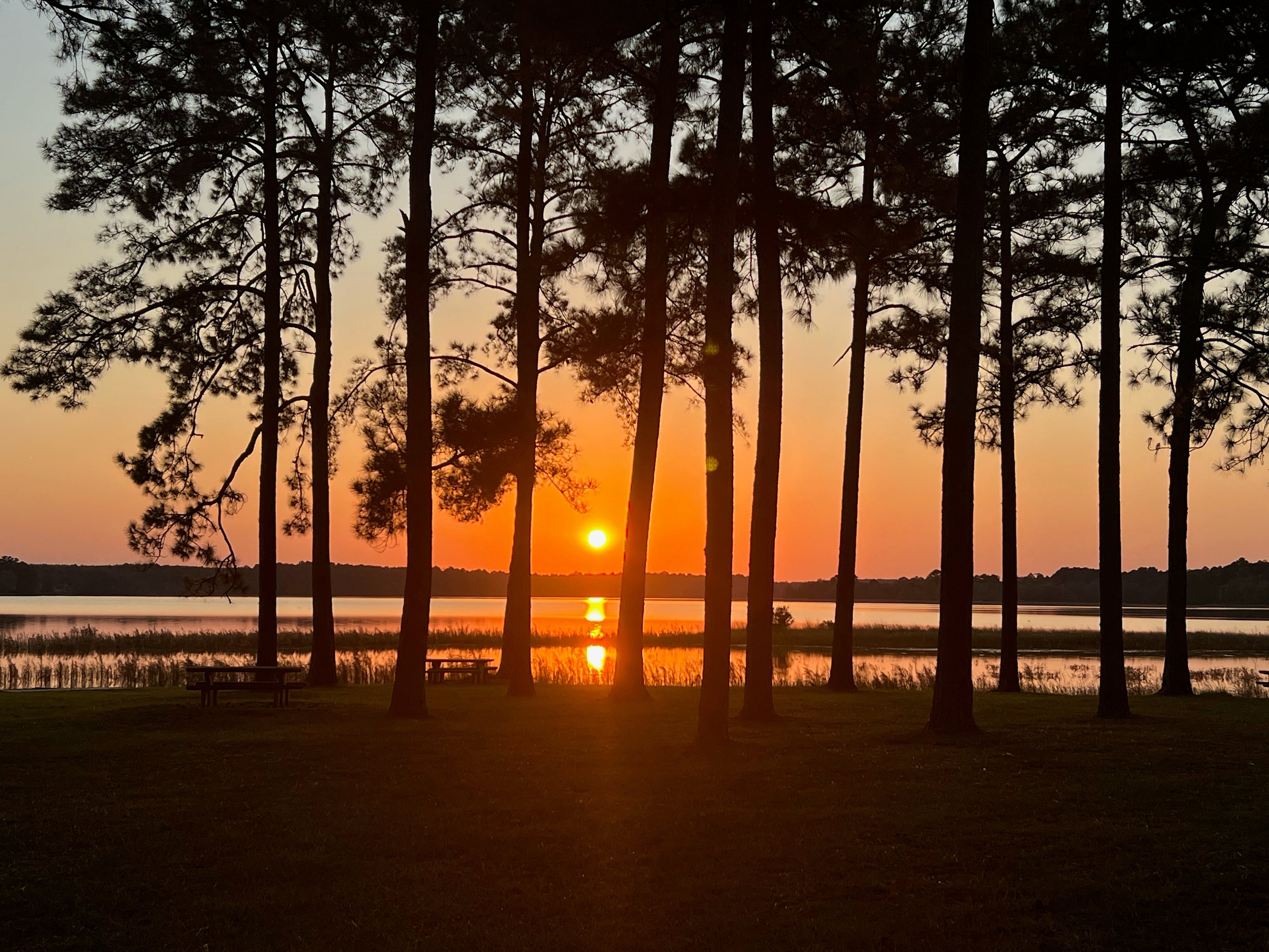 Camping & Outdoor Gear