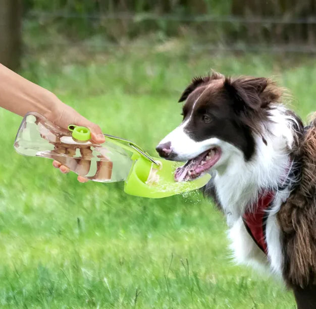 Pet - Travel Water Bottle