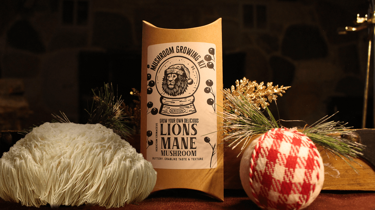 Lions Mane Gourmet Mushroom Growing Kit Holiday Edition