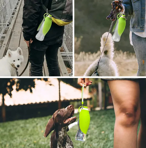 Pet - Travel Water Bottle