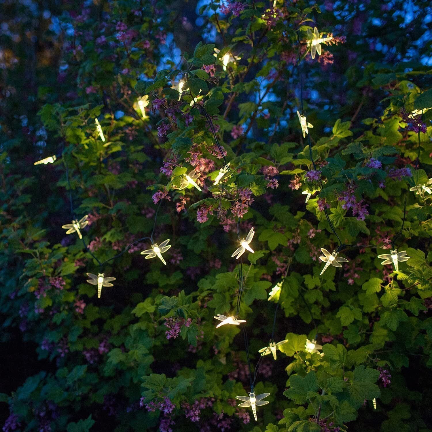 LED Solar String Lights | Dragonflies