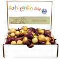 Mixed Red & Yellow Onion Sets 1 Lb. Non-GMO